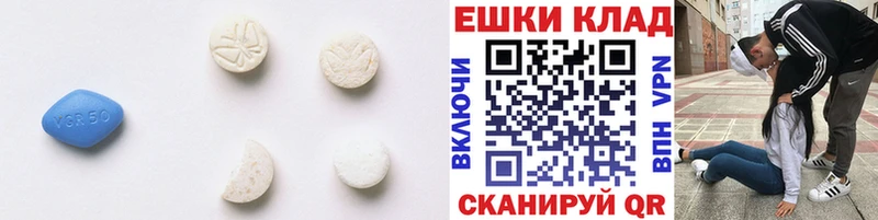 Ecstasy Philipp Plein  где найти   Пудож 