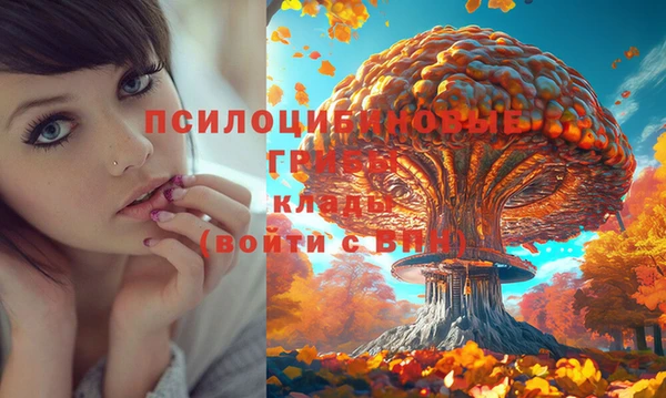 кокаин перу Абаза