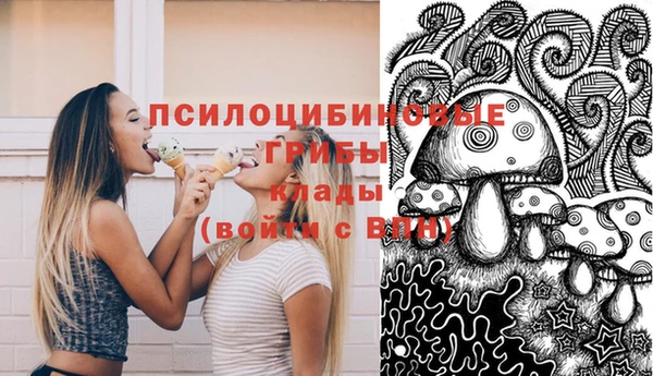 индика Абдулино