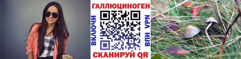 что такое наркотик  Пудож  Псилоцибиновые грибы ЛСД 